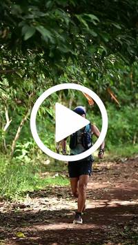 BIB:  <button type="button" onclick="openModal(27285525)" class="btn btn-primary btn-sm float-right" data-toggle="modal" data-target=".modal-high-quality">
                <i class="fa fa-download"></i> Download
                </button>